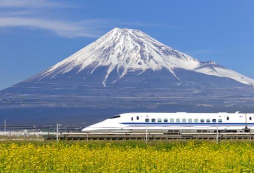 El tren bala se inspira en el pico del martín pescador para minimizar el ruido que provoca su alta velocidad