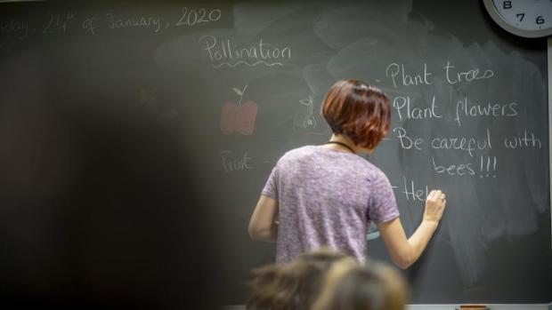 "La nueva normalidad debe sostenerse en la educación ambiental"