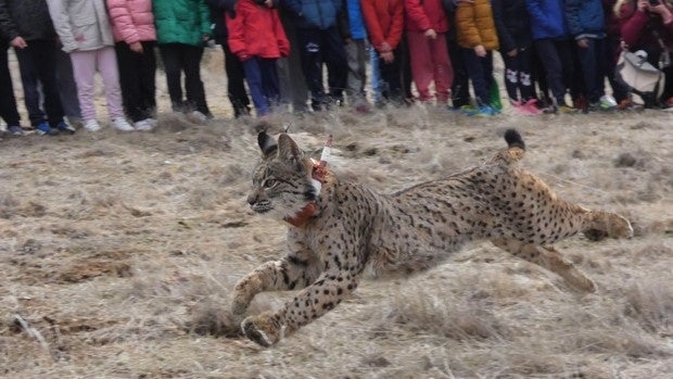 Campo de Montiel, un lugar de encuentro para la vida silvestre y el bienestar humano