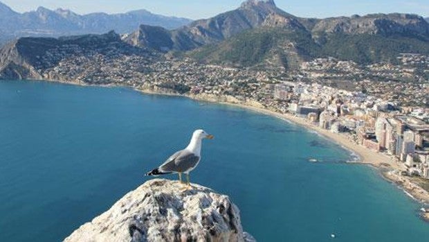 El crecimiento urbano amenaza la Red Natura 2000