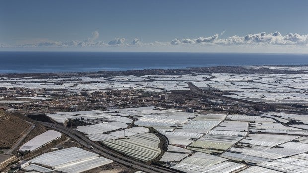 Invernaderos solares: desperdicio cero