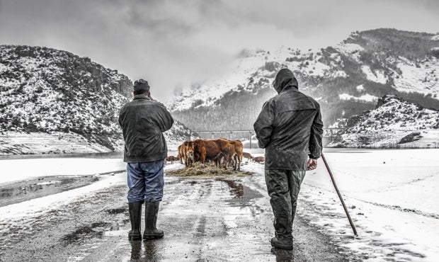 Camino hacia la neutralidad climática