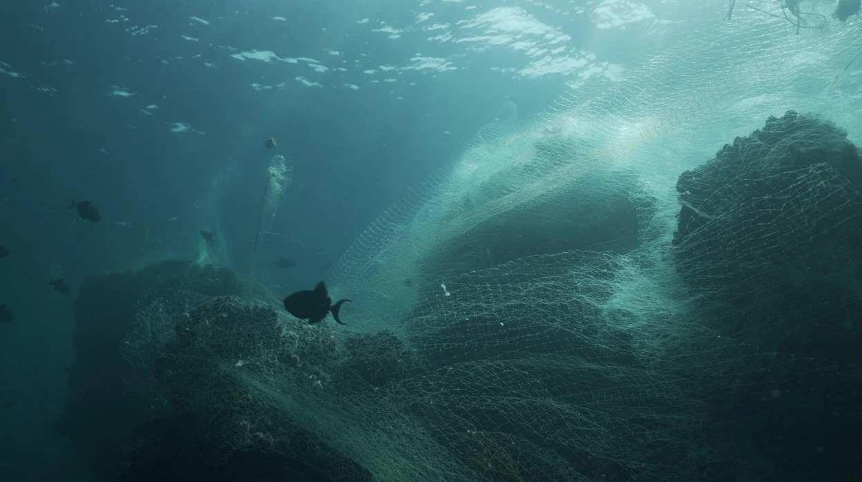 Más de 600.000 toneladas de redes de pesca se abandonan al año en el mar