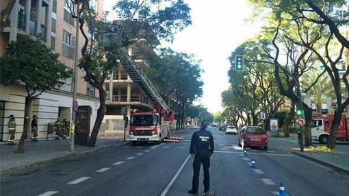 Se elevan a más de 300 las incidencias por el viento en la provincia de Sevilla: hay cuatro heridos en la capital