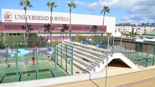 Pádel en Sevilla, diez centros imprescindibles donde practicar este deporte