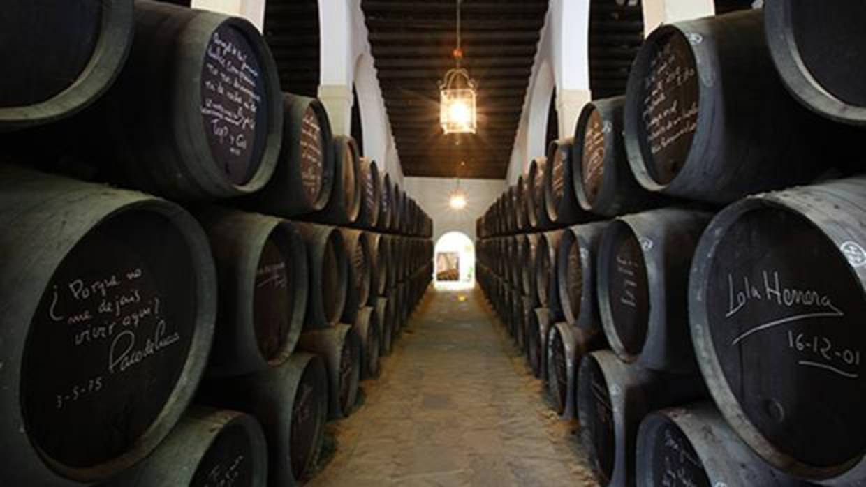 Interior de las bodegas González Byass