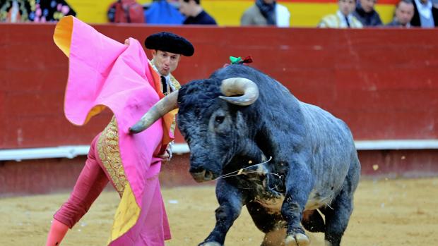 Directo: Rafaelillo, Alberto Gómez y Román, con los toros de Cuadri en Valencia