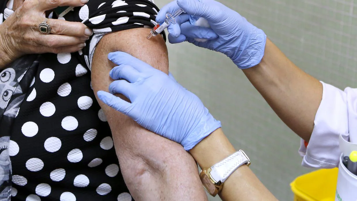Uno de los lotes que se van a contratar consta de 2.000 vacunas contra la fiebre amarilla