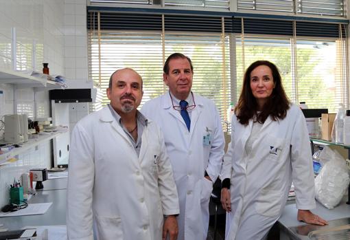 Investigadores de la Universidad de Málaga responsables del estudio