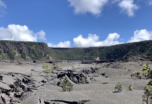 Parque Nacional de los Volcanes - Kilauea Iki Trail