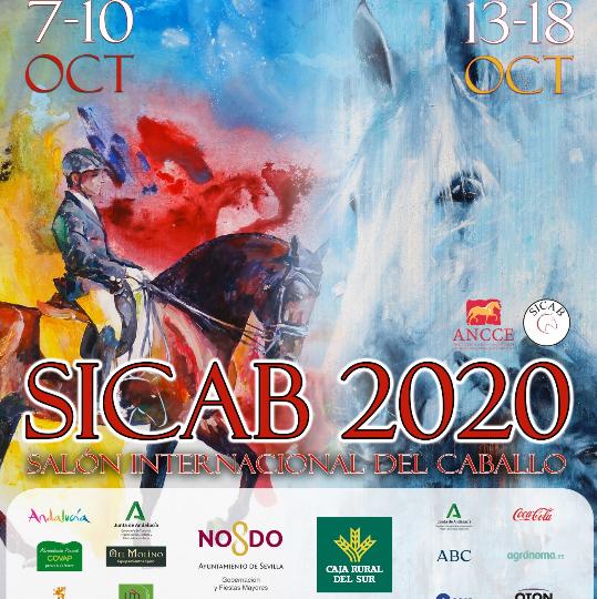 Cartel de este Sicab 2020