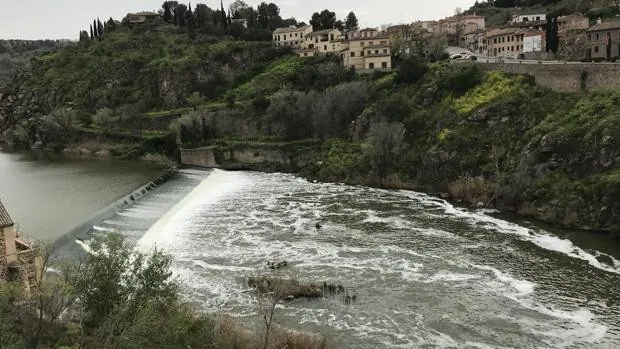 ¿Por qué el río Tajo se encuentra en tan mal estado?