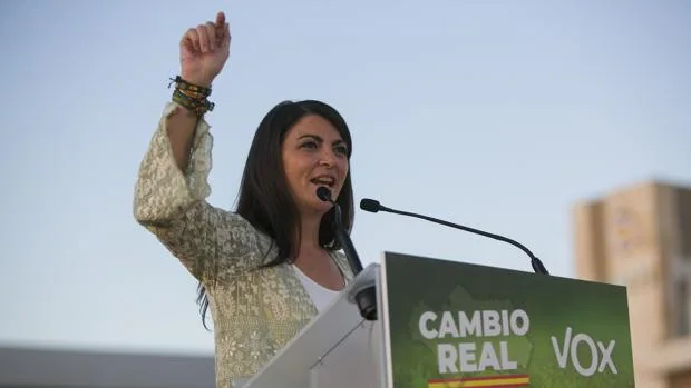 ¿Quién votó a Vox en las elecciones de Andalucía de 2018?