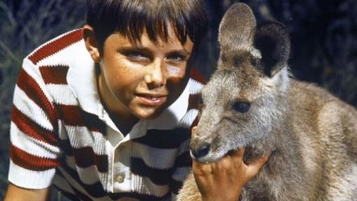 Skippy y el pequeño Hammond