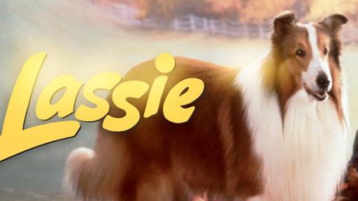 Lassie era una border collie