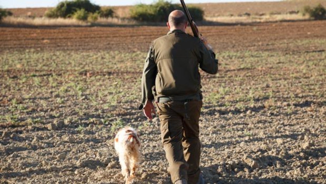 El animalismo irracional