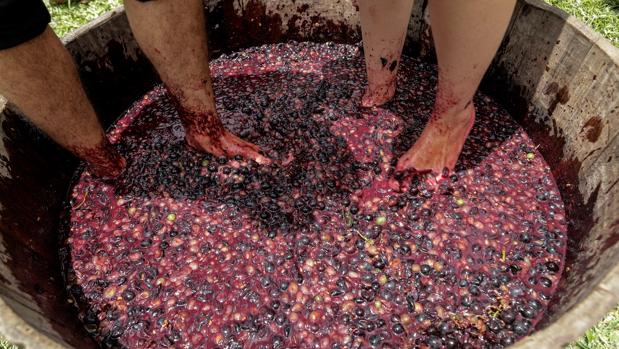 Maestro entre maestros