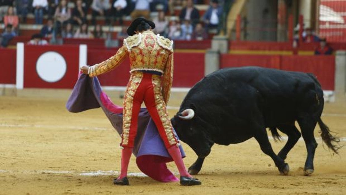 El toro, símbolo de libertad