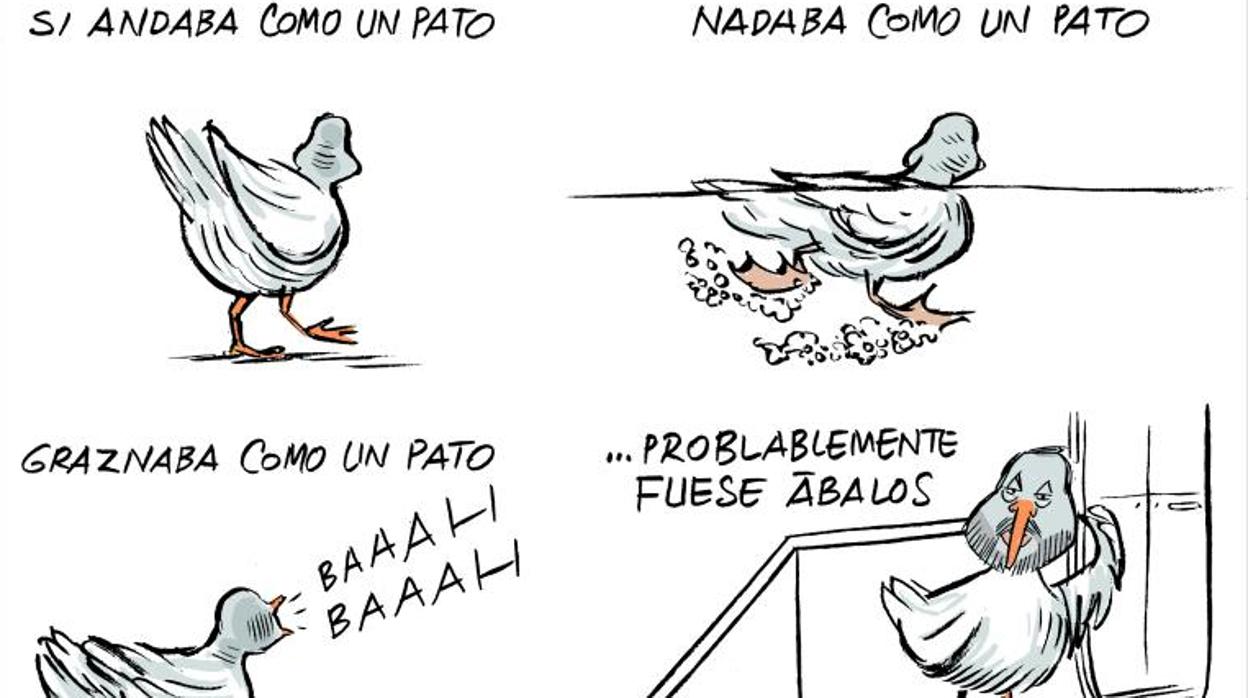 Agustín Pery: Cuando veo un pato