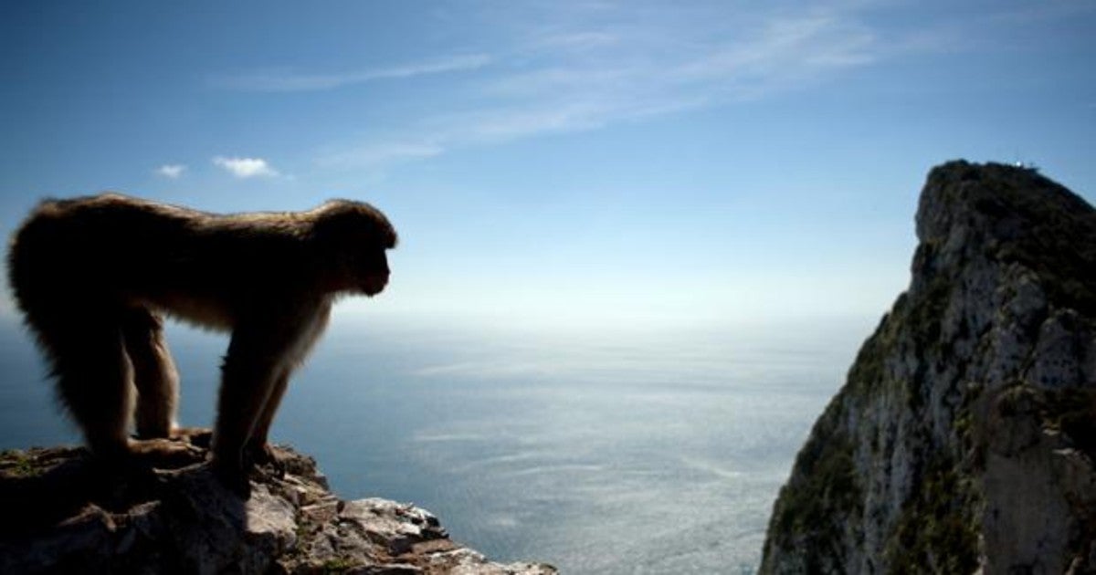 ABC: Gibraltar: cesión y renuncia