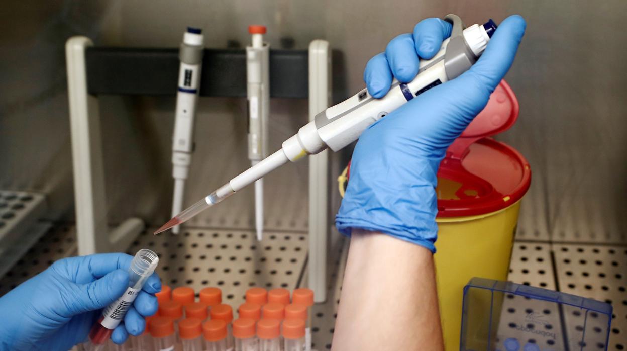 Giuseppe Tringali: Existe una vía diferente de progreso