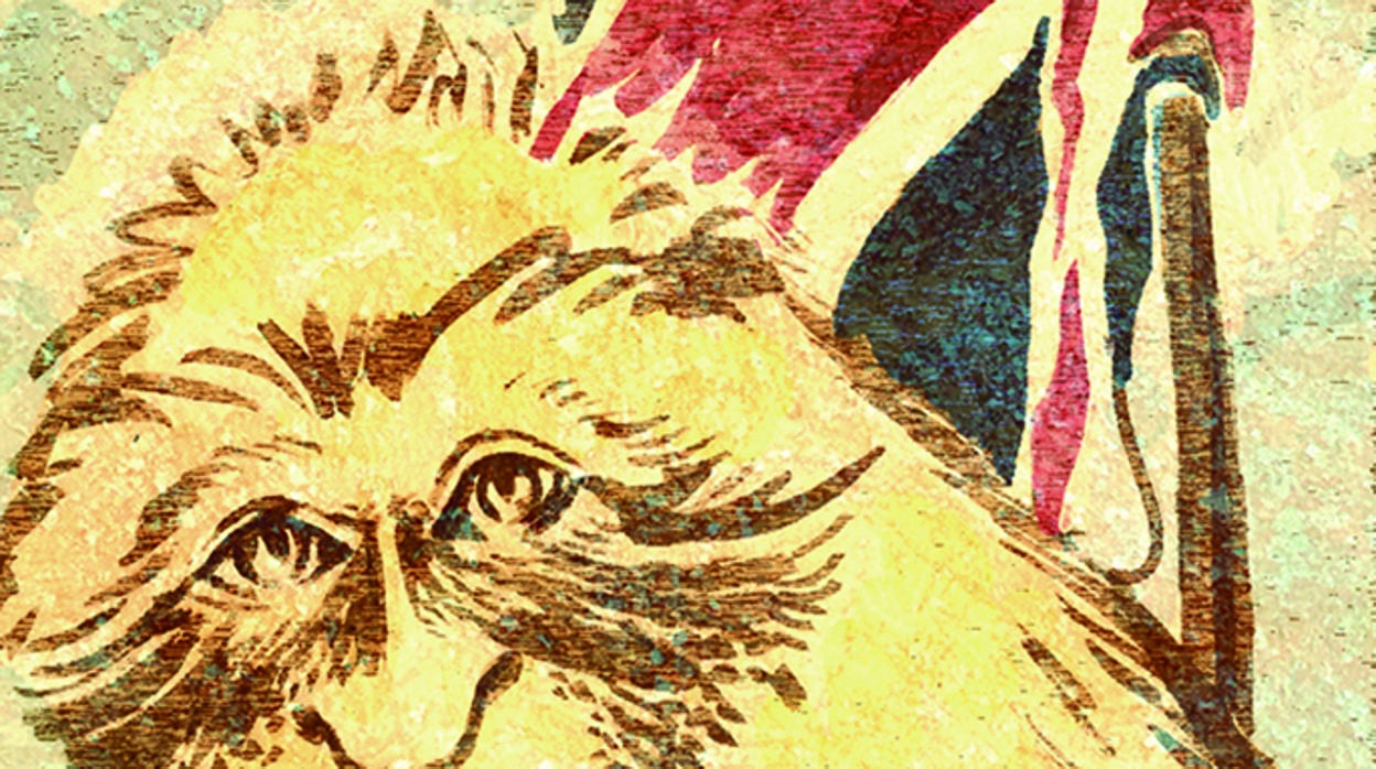 José Manuel García Margallo: Gibraltar y la no idea de España