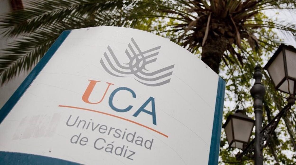 La Voz de Cádiz: Investigación en la UCA: mucho más que mar
