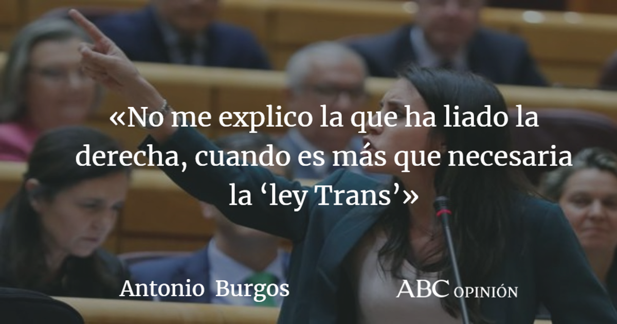Antonio Burgos: La ‘ley Trans’