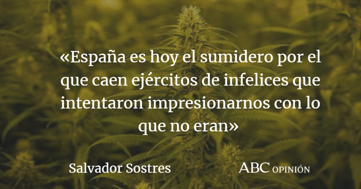 Salvador Sostres: Hierba