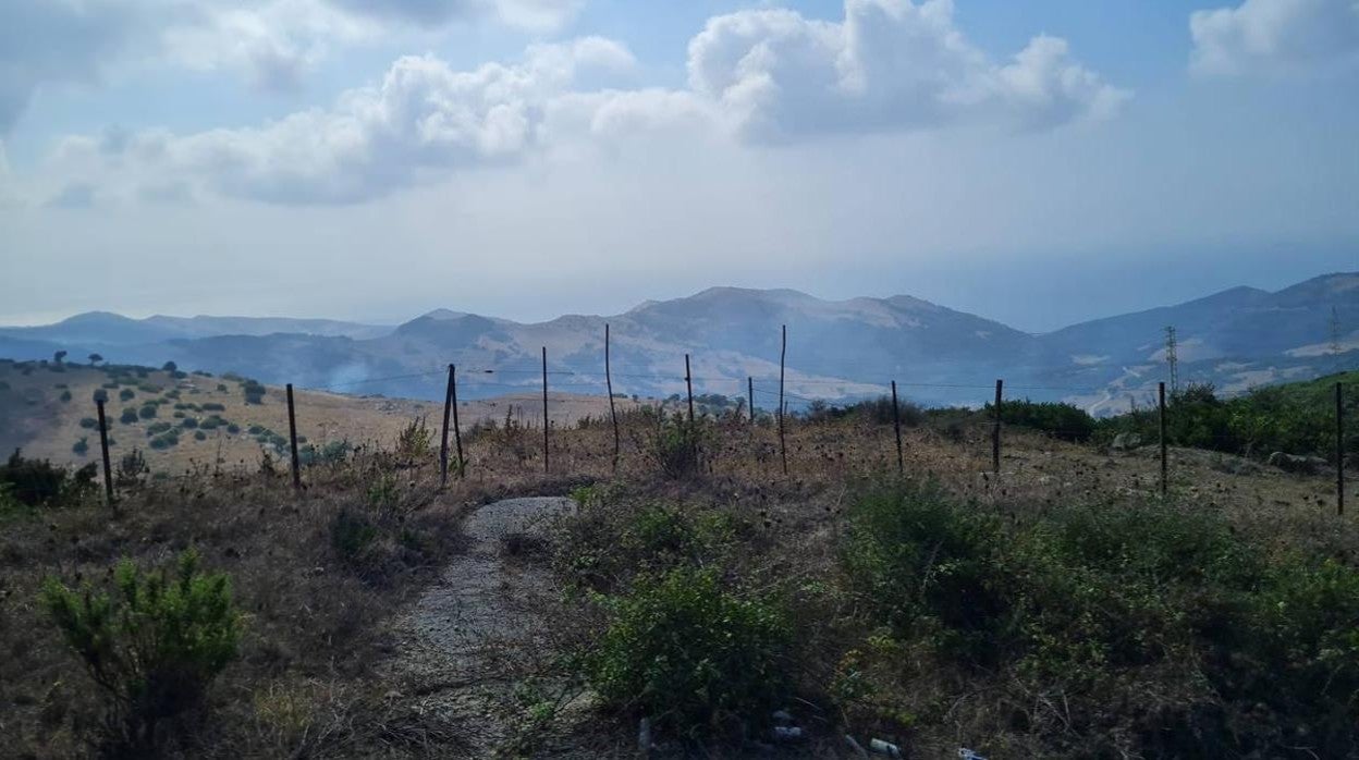 La Voz de Cádiz: Los incendios forestales no se confinan