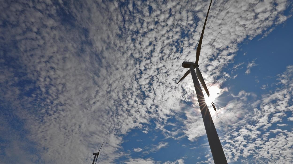 Elena Llorente: Renovables, la clave para reducir la factura de la luz