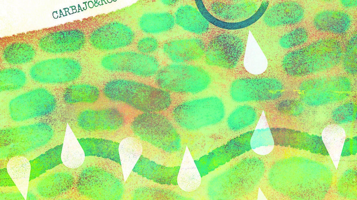 Javier Moscoso: Las lágrimas