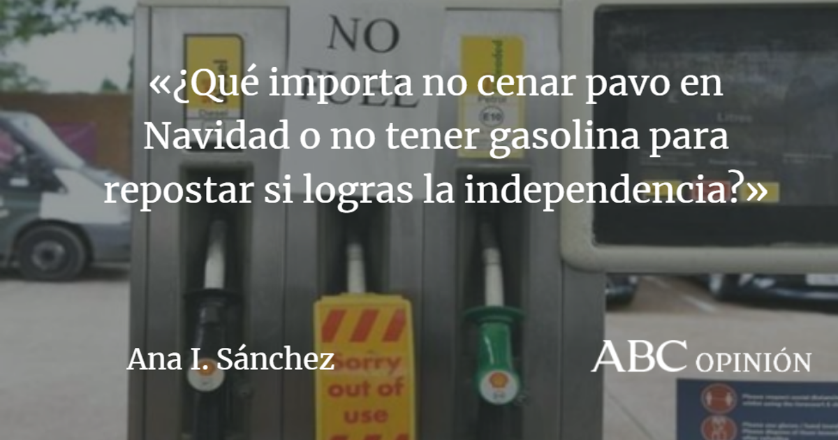 Ana I. Sánchez: El precio de la libertad, según un ‘brexitero’