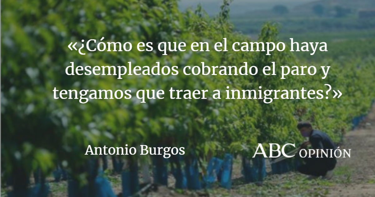 Antonio Burgos: Una idea para la reforma laboral