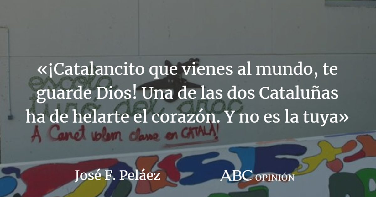 José F. Peláez: Nuestra Rosa Parks