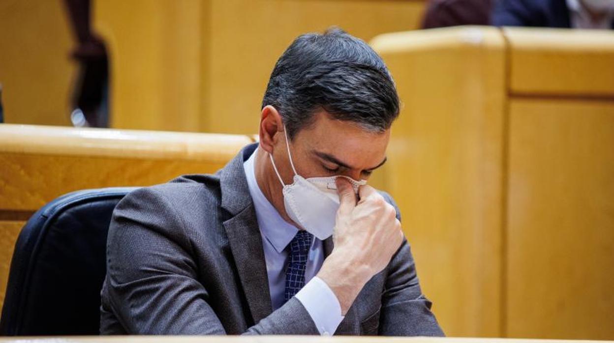 El presidente del Gobierno, Pedro Sánchez