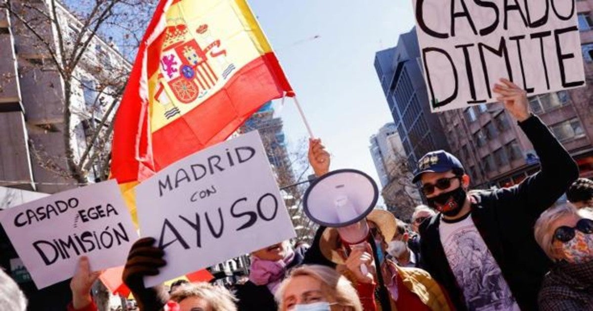 Juan Pablo Colmenarejo: Una tubería de gatos