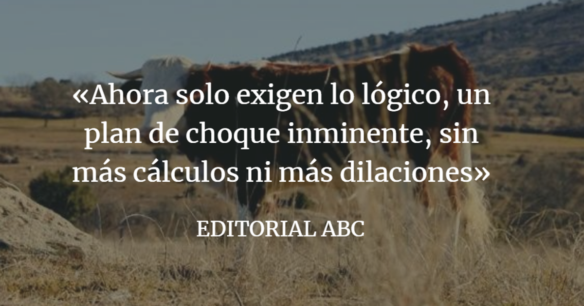 Editorial ABC: Un parón productivo por llegar tarde y mal