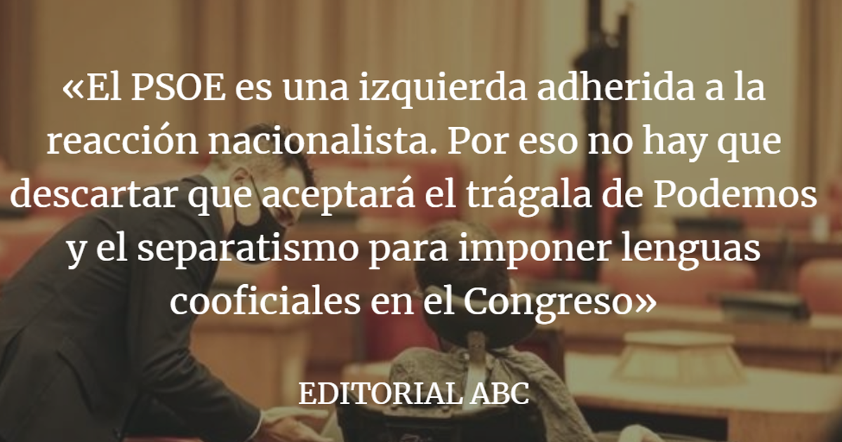 Editorial ABC: Menos español, menos ciudadanos