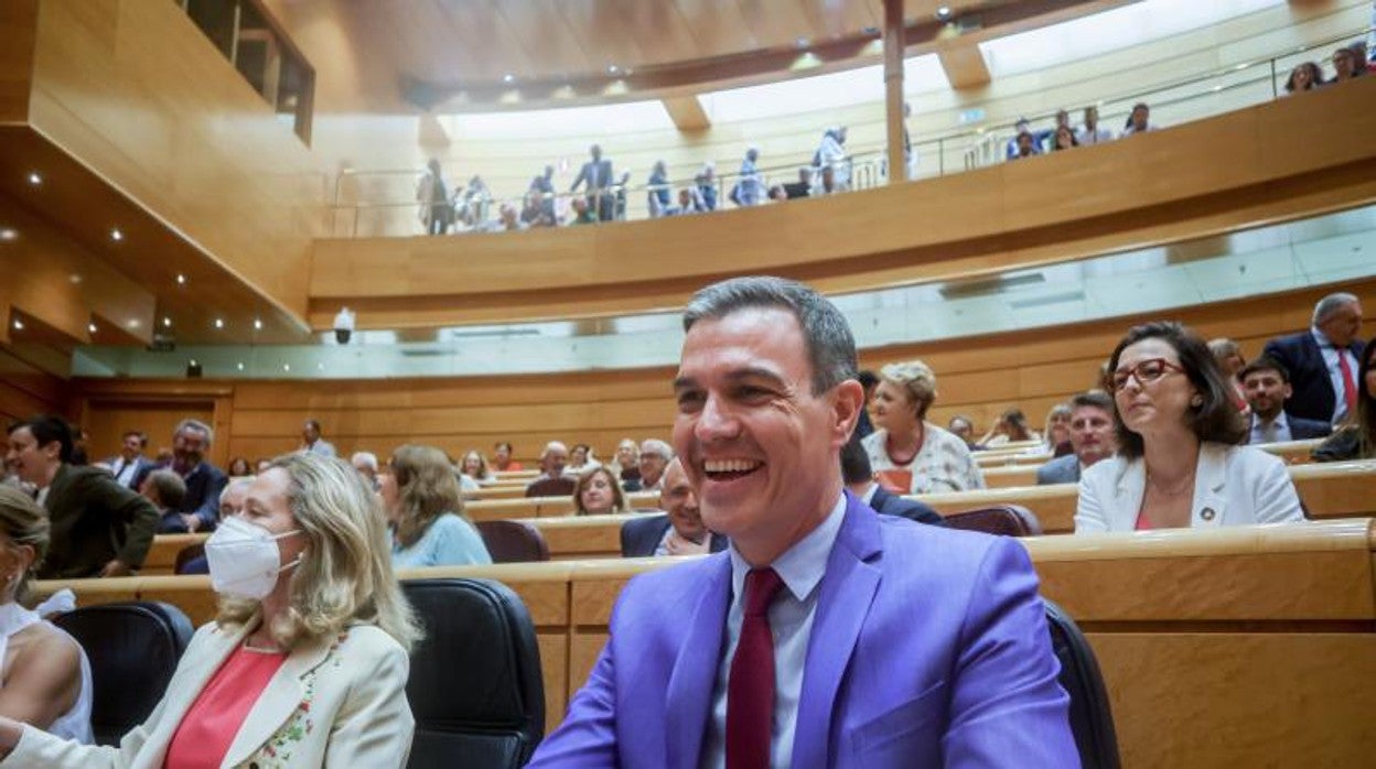 Pedro Sánchez, en una sesión plenaria en el Senado