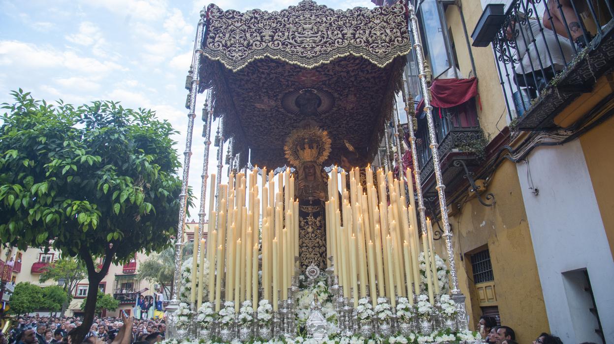 Horario e Itinerario de la Amargura en la Semana Santa de Sevilla 2023