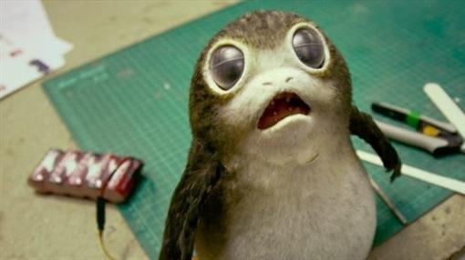 Conoce a los porgs y los «Caretakers» de la isla de Luke Skywalker