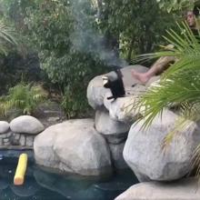 El boicot al boicot, la derrota de los anunciantes ante el público más radical