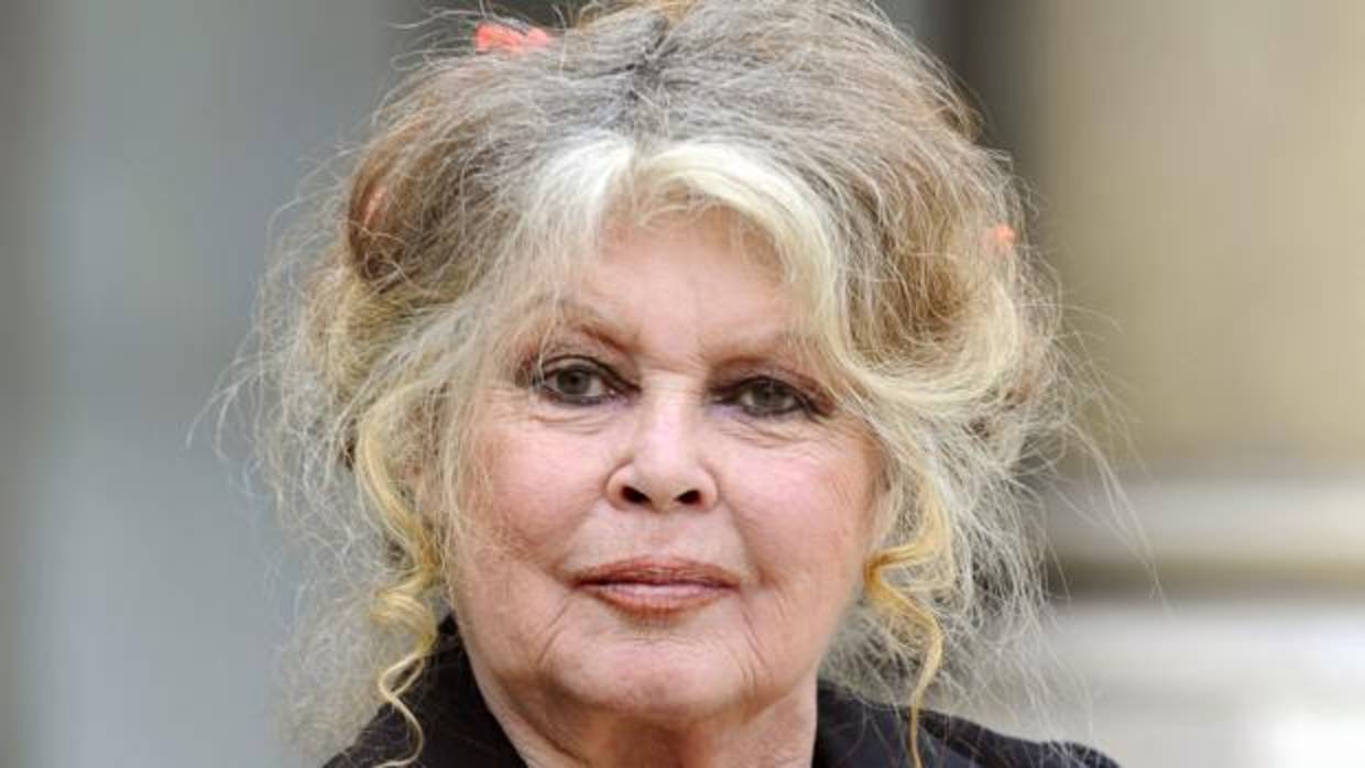 Brigitte Bardot, en una imagen de archivo de 2007