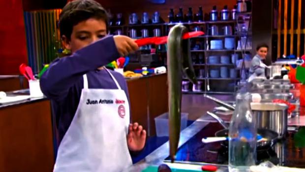 Tirón de orejas a «MasterChef Junior» por obligar a un niño a cocinar con una anguila viva