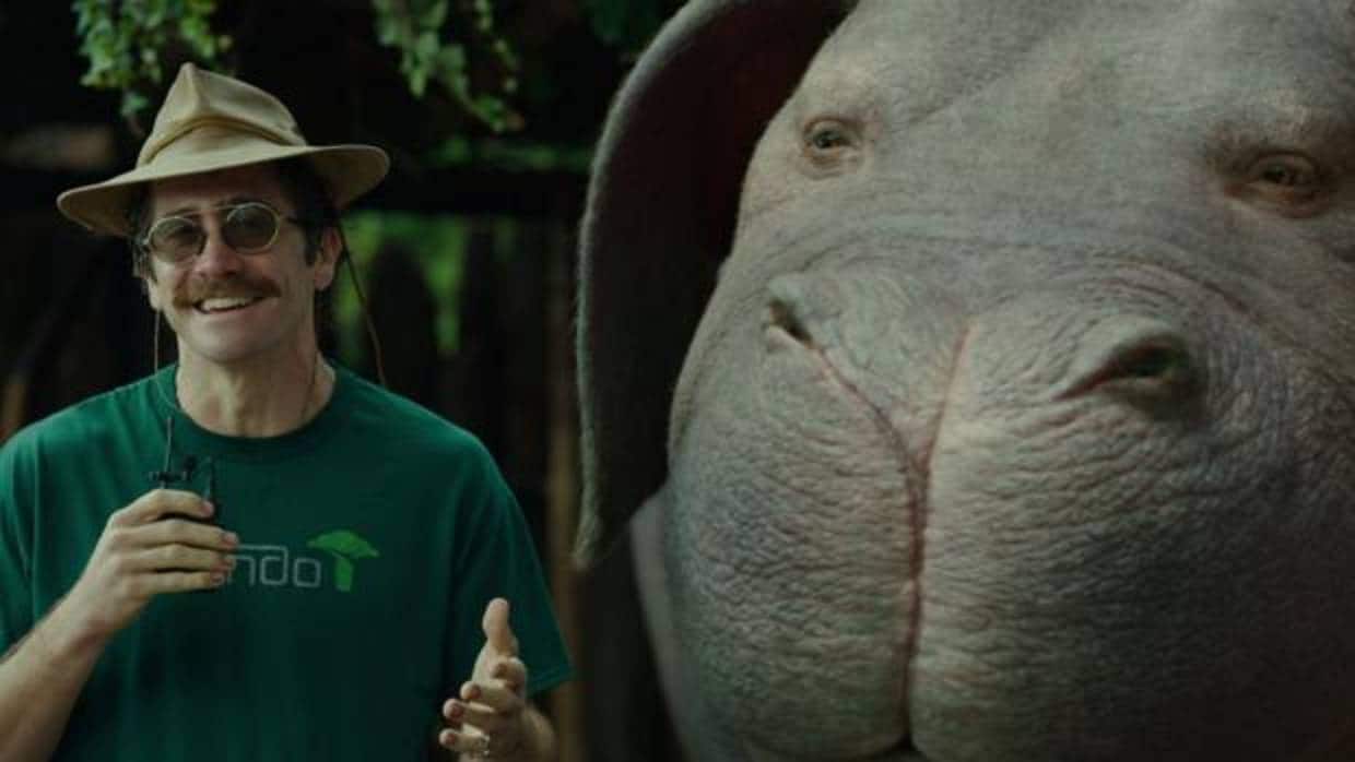 Fotograma del filme «Okja»