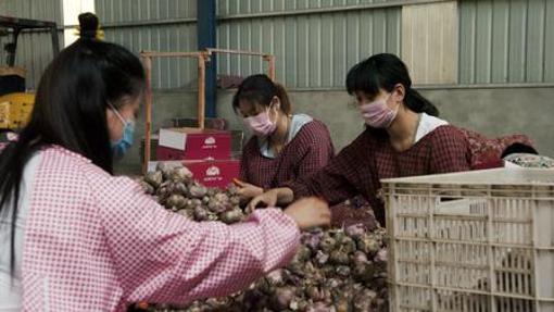 «Podredumbre» saca a la luz los secretos de la industria alimentaria