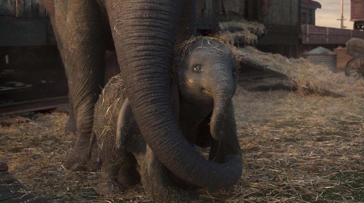 Elefante de buena suerte para empezar – Viviendo otra vez