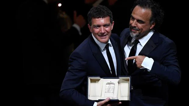 Antonio Banderas, con la piel de Almodóvar, gana el premio para «Dolor y gloria»