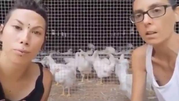 Las consignas de un «santuario vegano» en televisión: «Comer animales es fascista»